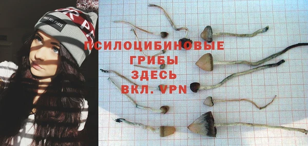 не бодяженный Белокуриха