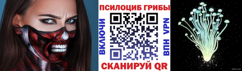 Псилоцибиновые грибы ЛСД  omg ссылка  Гаврилов-Ям 